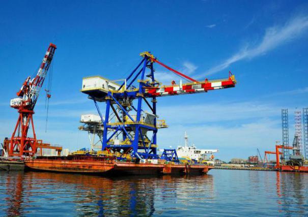 散粮港机设备-卸船机